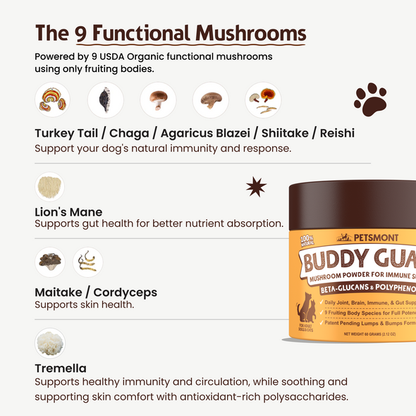 PETSMONT BUDDY GUARD